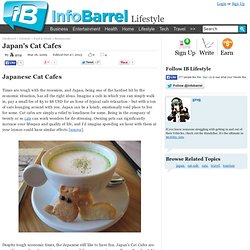 Japan's Cat Cafes