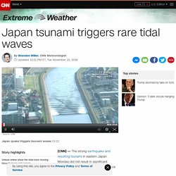 Japan tsunami triggers rare tidal waves
