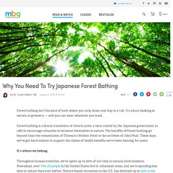 Why You Need To Try Japanese Forest Bathing - mindbodygreen