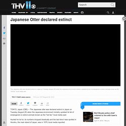 Japanese Otter declared extinct