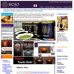 Japanese Green Tea, Japanese Teapot and Tetsubin: HOJO TEA