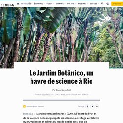 Le Jardim Botânico, un havre de science à Rio