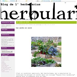 Le jardin en carré - Blog de l' herbularius