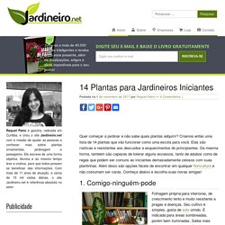 14 Plantas para Jardineiros Iniciantes - Jardineiro.net