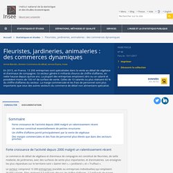 Fleuristes, jardineries, animaleries : des commerces dynamiques - Insee Focus - 98