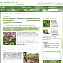 Jardins et plantes de terre argileuse