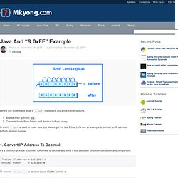 Java and “& 0xFF” example