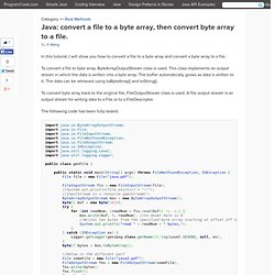 Java: convert a file to a byte array, then convert byte array to a file.