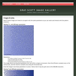 Java demo: Gray-Scott Reaction-Diffusion