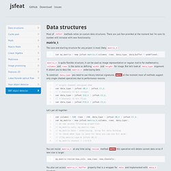 JSFeat - JavaScript Computer Vision Library.