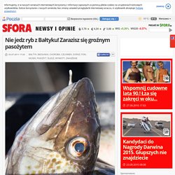 Nie jedz ryb z Bałtyku! Zarazisz się groźnym pasożytem - Sfora