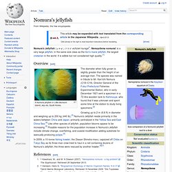 Nomura's jellyfish