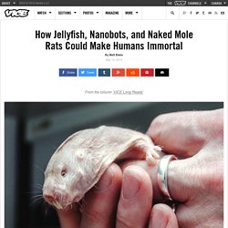 How Jellyfish, Nanobots, and Naked Mole Rats Could Make Humans Immortal