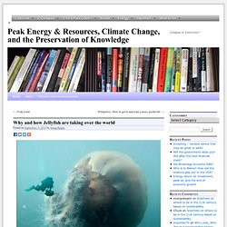 Peak Energy & Resources, Climate Change, and the Preservation of Knowledge