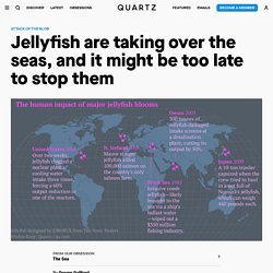 Jellyfish are taking over the seas