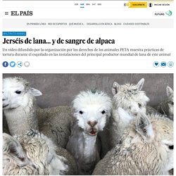 PETA: Jerséis de lana... y de sangre de alpaca