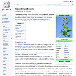Jerusalem artichoke