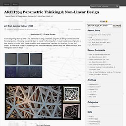 ARCH794 Parametric Thinking & Non-Linear Design
