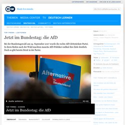 Jetzt im Bundestag: die AfD
