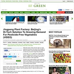 Jingpeng Plant Factory: Beijing's Hi-Tech Solution To Growing Demand For Pesticide-Free Vegetables