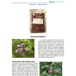 Jintu - Lycium Fruit
