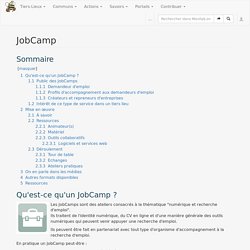 JobCamp — Movilab.org
