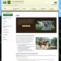 US Forest Service