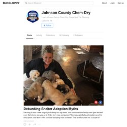 Johnson County Chem-Dry (jcchemdry) on Bloglovin’