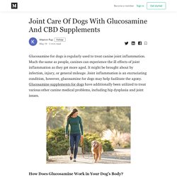 Joint Care Of Dogs With Glucosamine And CBD Supplements