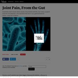 Joint Pain, From the Gut
