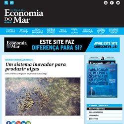 Jornal de Economia do Mar