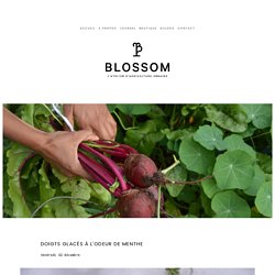 Journal — Blossom