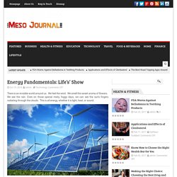 Meso Journal – Energy Fundamentals: Life’s’ Show