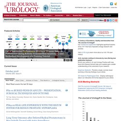 What Impacts the All Cause Risk of Reoperation after Pelvic Organ Prolapse Repair? A Comparison of Mesh and Native Tissue Approaches in 110,329 Women - The Journal of Urology