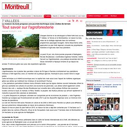 Tout savoir sur l'agroforesterie - echosdutouquet-journaldemontreuil-reveildeberck.fr