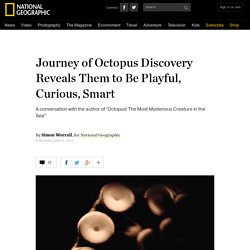 Journey of Octopus Discovery Reveals Them to Be Playful, Curious, Smart