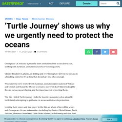 ‘Turtle Journey’ shows us why we urgently need to protect the oceans
