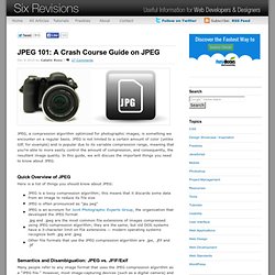 JPEG 101: A Crash Course Guide on JPEG