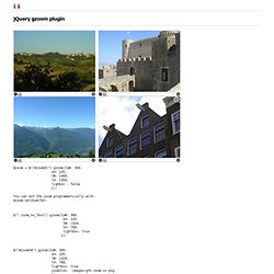 jQuery gzoom plugin