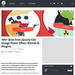 100+ Best Free jQuery CSS Image Hover Effect Demos & Plugins