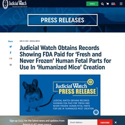 Judicial Watch Obtains Records Showing FDA Paid for ‘Fresh and Never Frozen’ Human Fetal Parts for Use In ‘Humanized Mice’ Creation