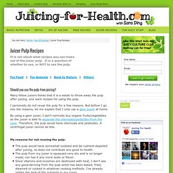 Juicer Pulp Recipes