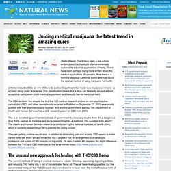Juicing medical marijuana the latest trend in amazing cures