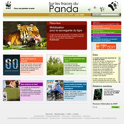 juillet « 2009 « Sur les traces du Panda