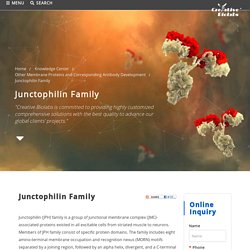 Junctophilin Family