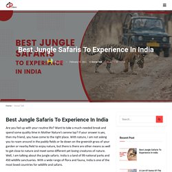 Best Jungle Safaris To Experience In India