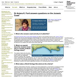 Patagonia don't buy this jacket video picture