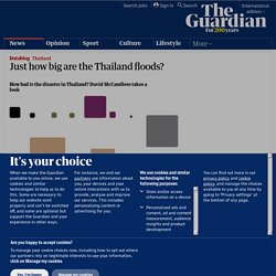 Information is Beautiful on the Thailand floods