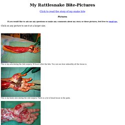 Justin's Rattlesnake Pics