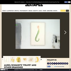Aurel Schmidt's "Fruits" and Other Drawings